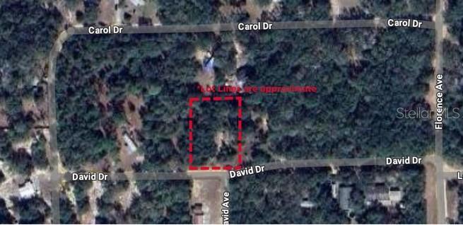 111 CAROL DRIVE - Land